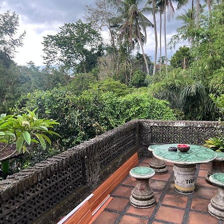 Rumah Kelinci Ubud Exterior foto