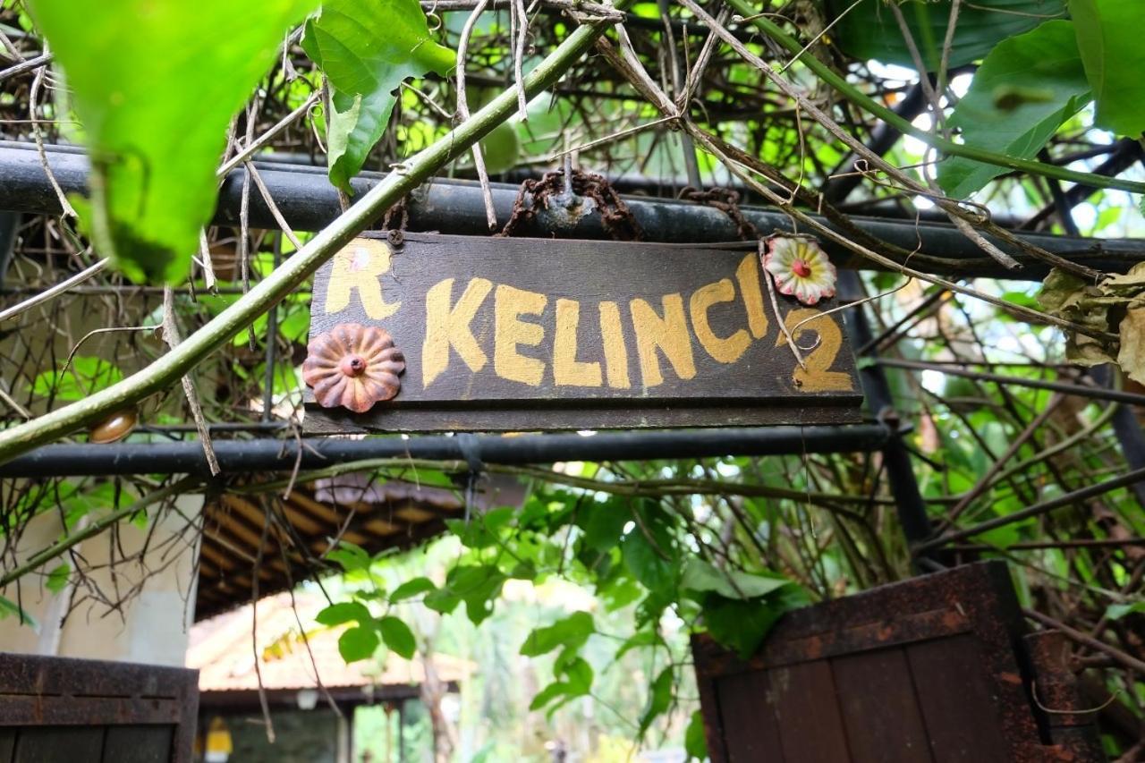 Rumah Kelinci Ubud Exterior foto