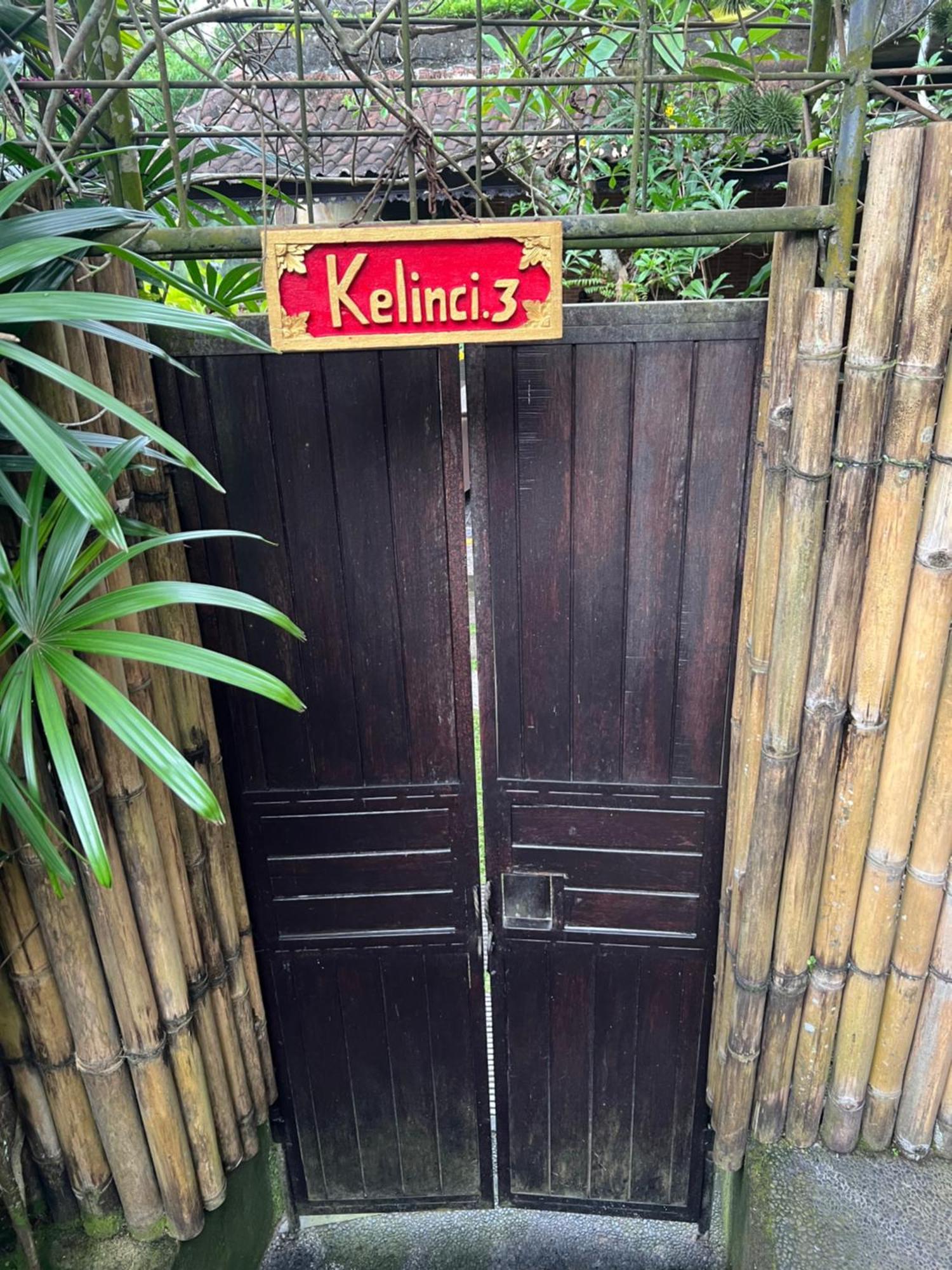 Rumah Kelinci Ubud Exterior foto